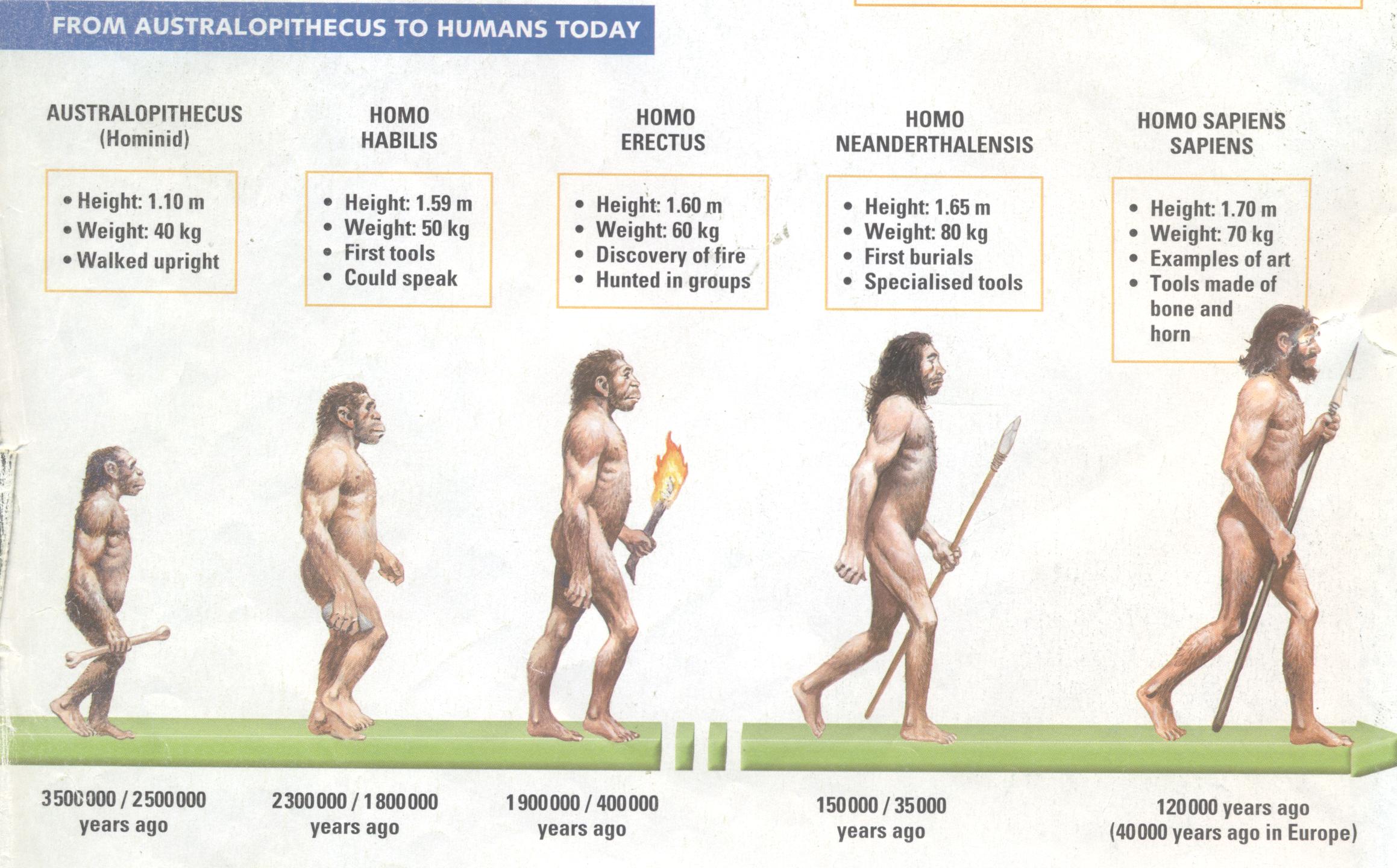 human-evolution-1-001.jpg